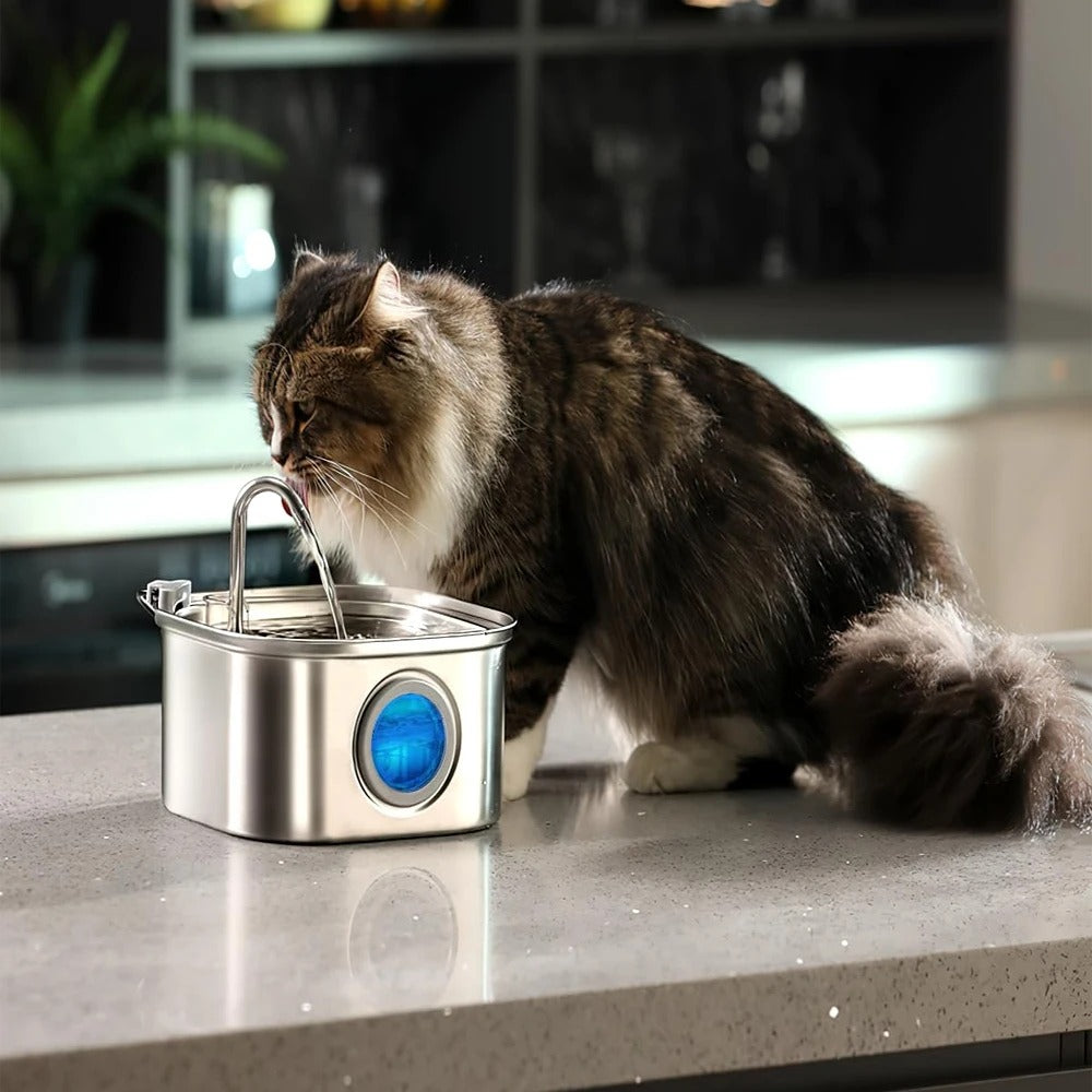 Pawfolia - Stainless Steel Cat Water Fountain with Visual Window